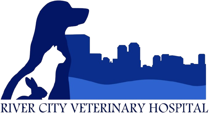 River City Veterinary Hospital Home